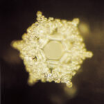 Emoto love-and-gratitude
