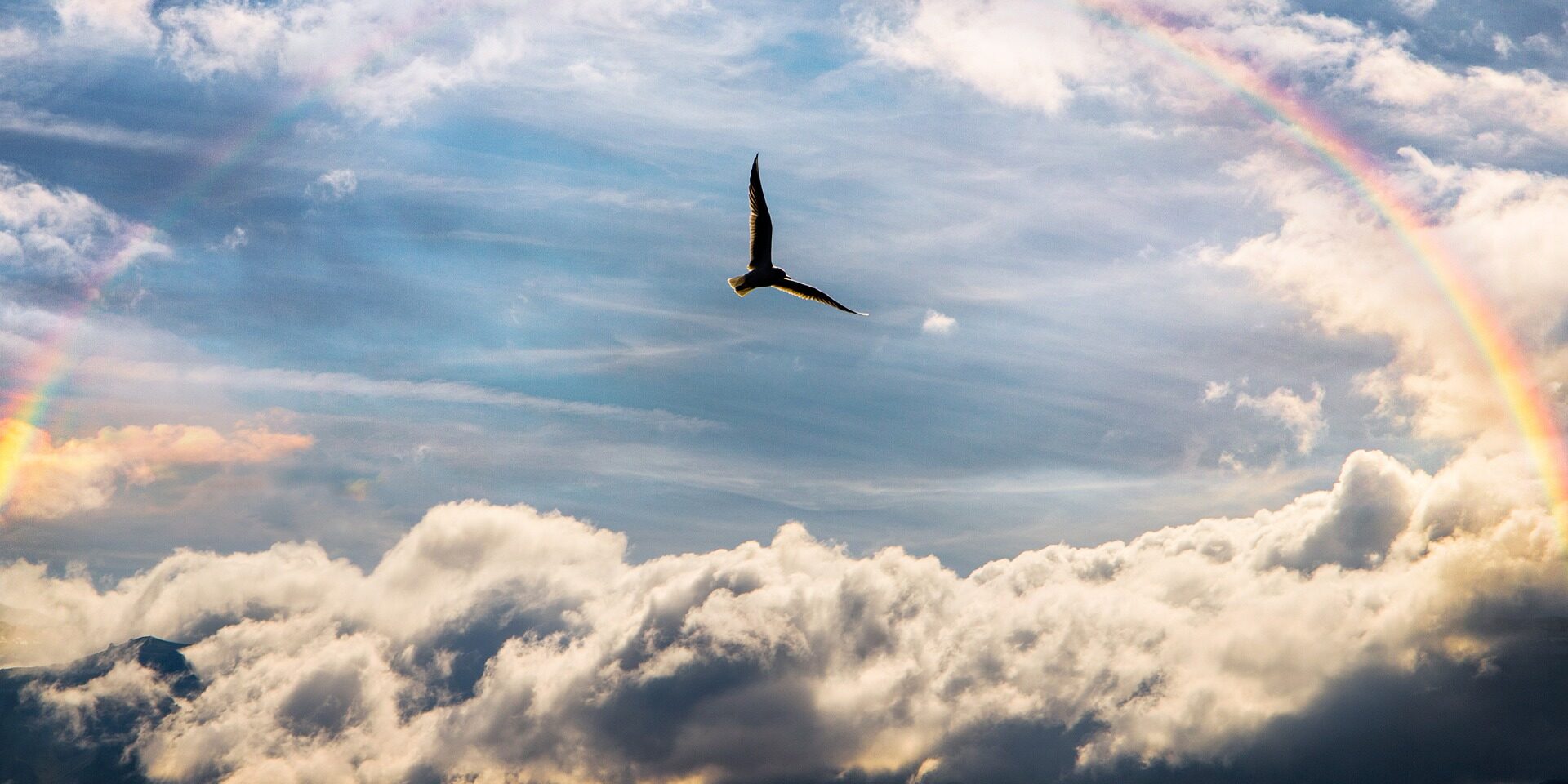 Flug in die Zukunft Weiterentwicklung