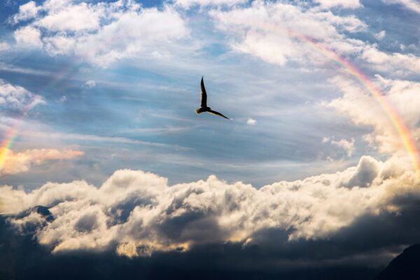 Flug in die Zukunft Weiterentwicklung