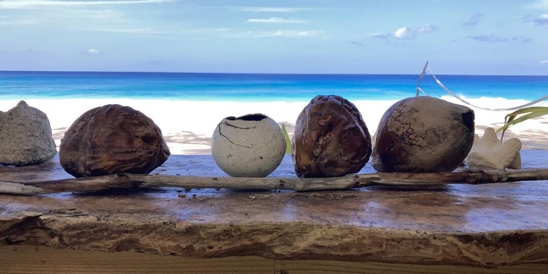 Digitale Nomadin am Strand der Seychellen Lebe deinen Traum - Lebensphilosophie 2.0