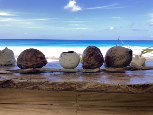 Digitale Nomadin am Strand der Seychellen Lebe deinen Traum - Lebensphilosophie 2.0